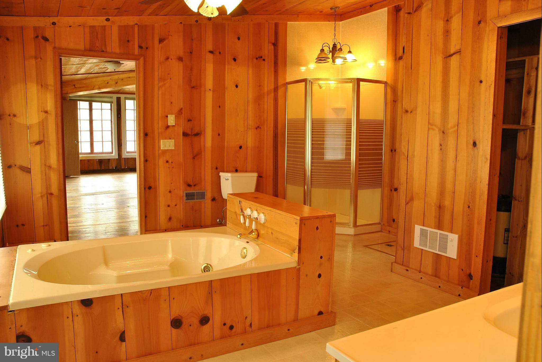44600 Tall Timbers Road Tall Timbers, MD 20690 - Photo 24 of 25 Bath (Master)