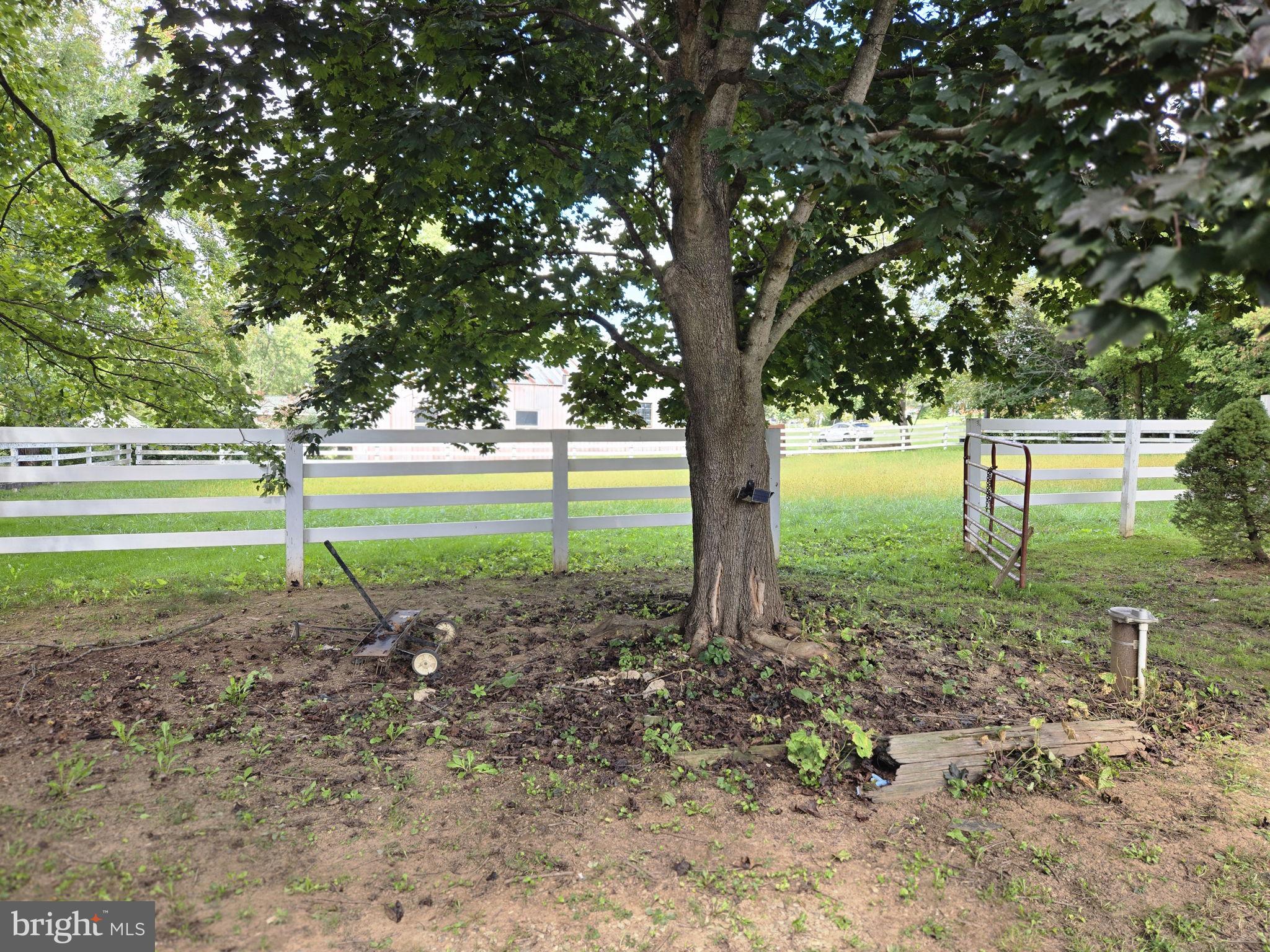 2636 Marston Road New Windsor, MD 21776 - Photo 40 of 107 a view of a garden with a tree