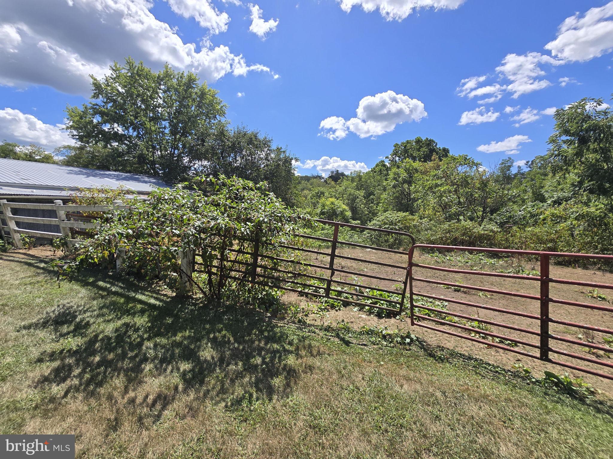 2636 Marston Road New Windsor, MD 21776 - Photo 58 of 107 a view of a bunch of flower plants and wooden fence