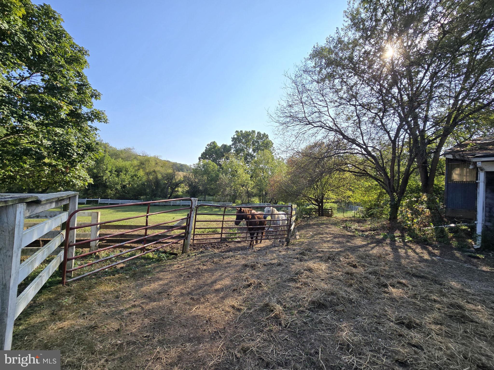 2636 Marston Road New Windsor, MD 21776 - Photo 93 of 107 a view of a park with large trees