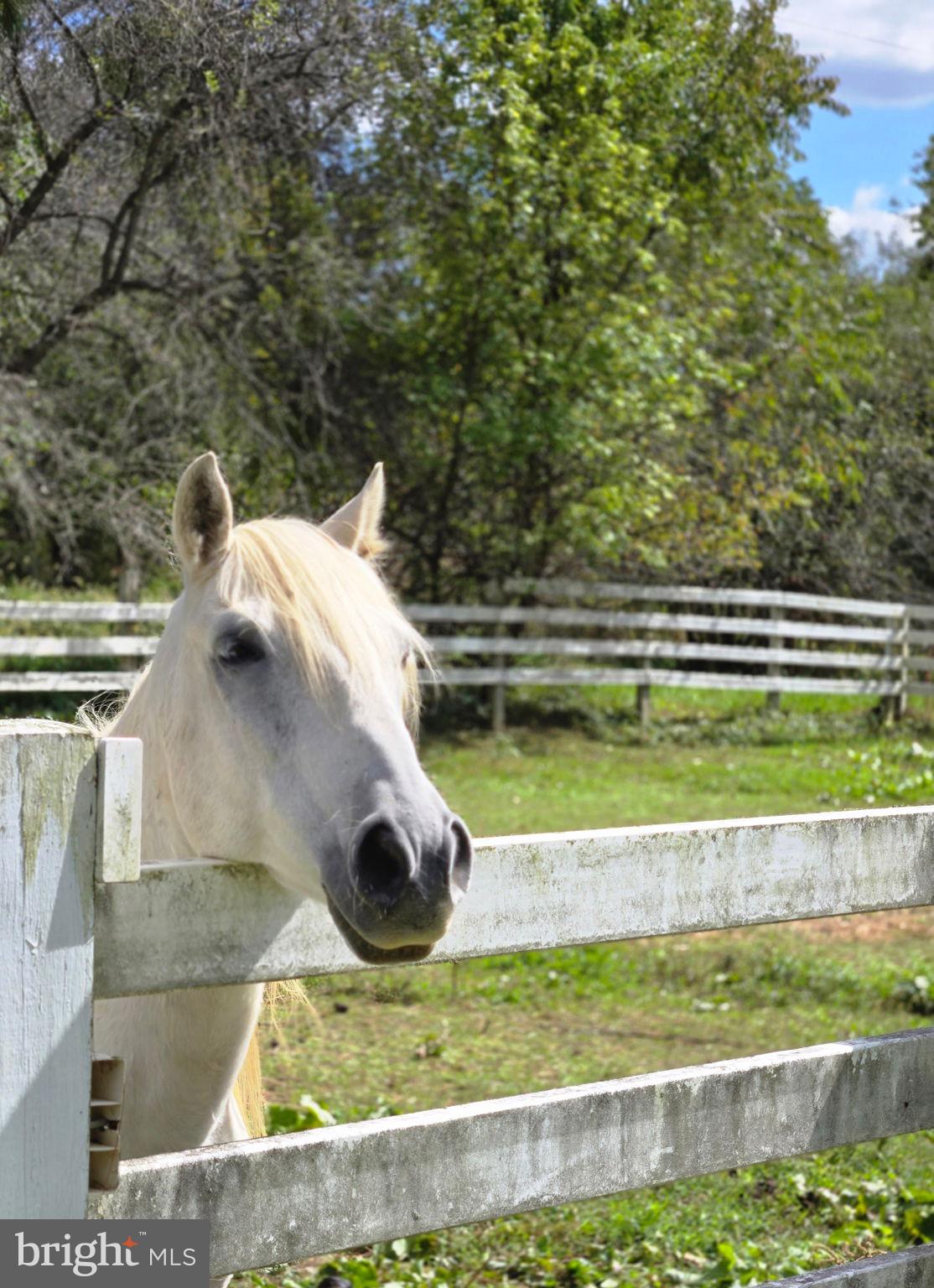 2636 Marston Road New Windsor, MD 21776 - Photo 94 of 107