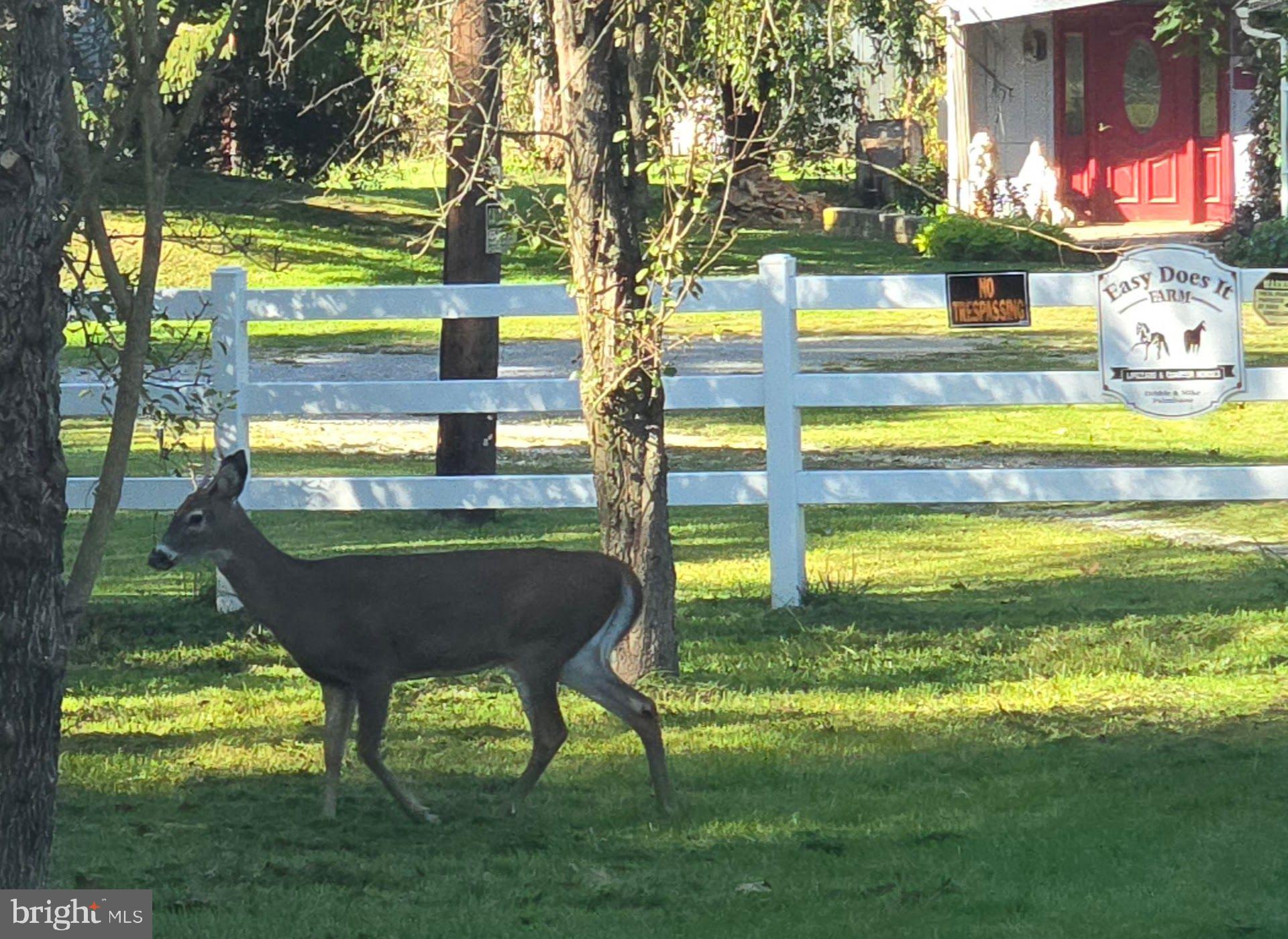 2636 Marston Road New Windsor, MD 21776 - Photo 97 of 107 a view of a swimming pool with a yard