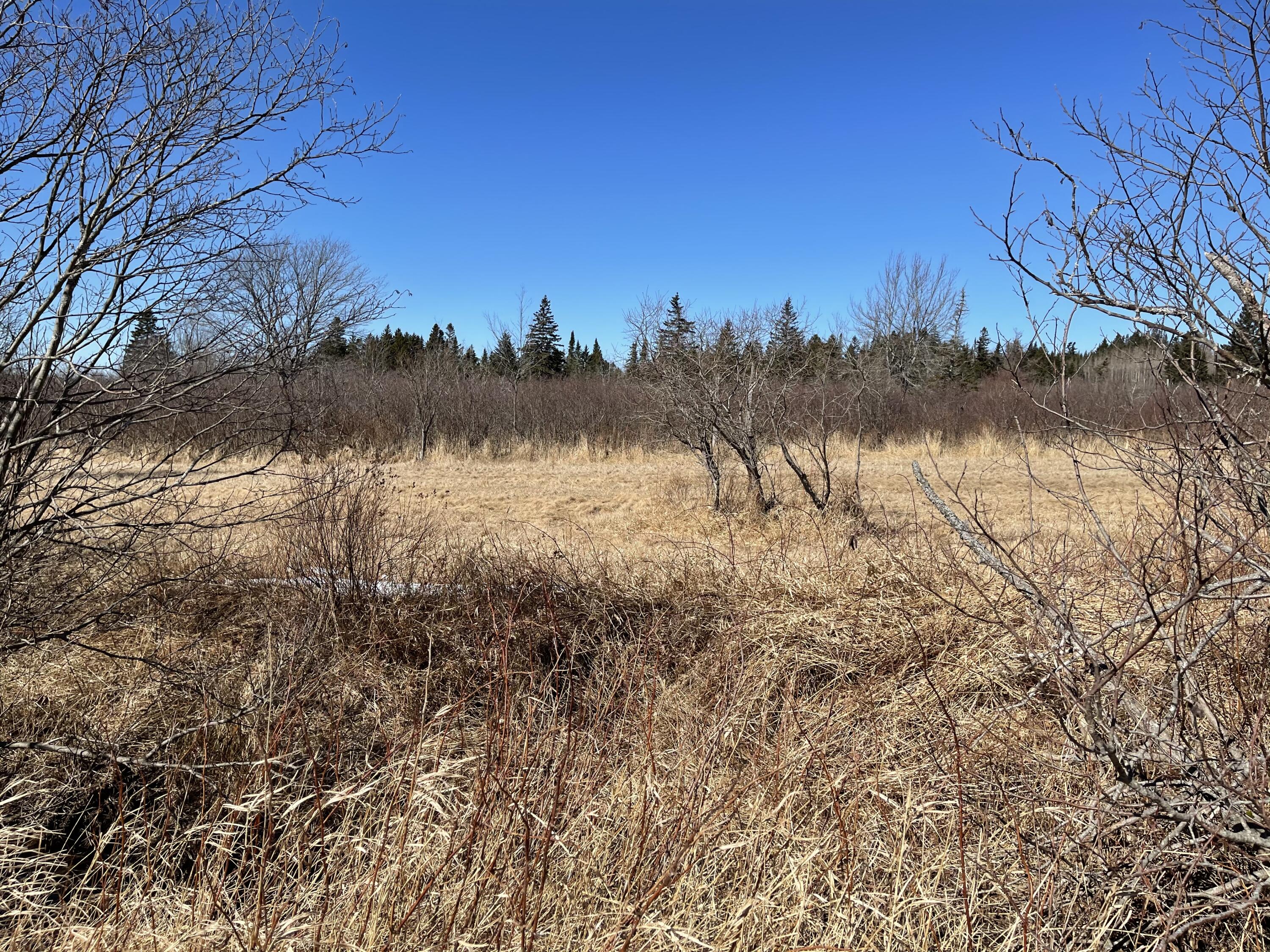 M6 L58 Cutler Road Cutler, ME 04626 - Photo 20 of 37 Photo Mar 12, 12 35 36 PM