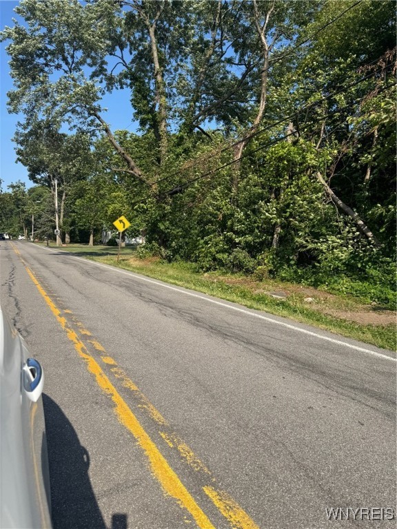 Laur Road Niagara Falls, NY 14304 - Photo 3 of 6