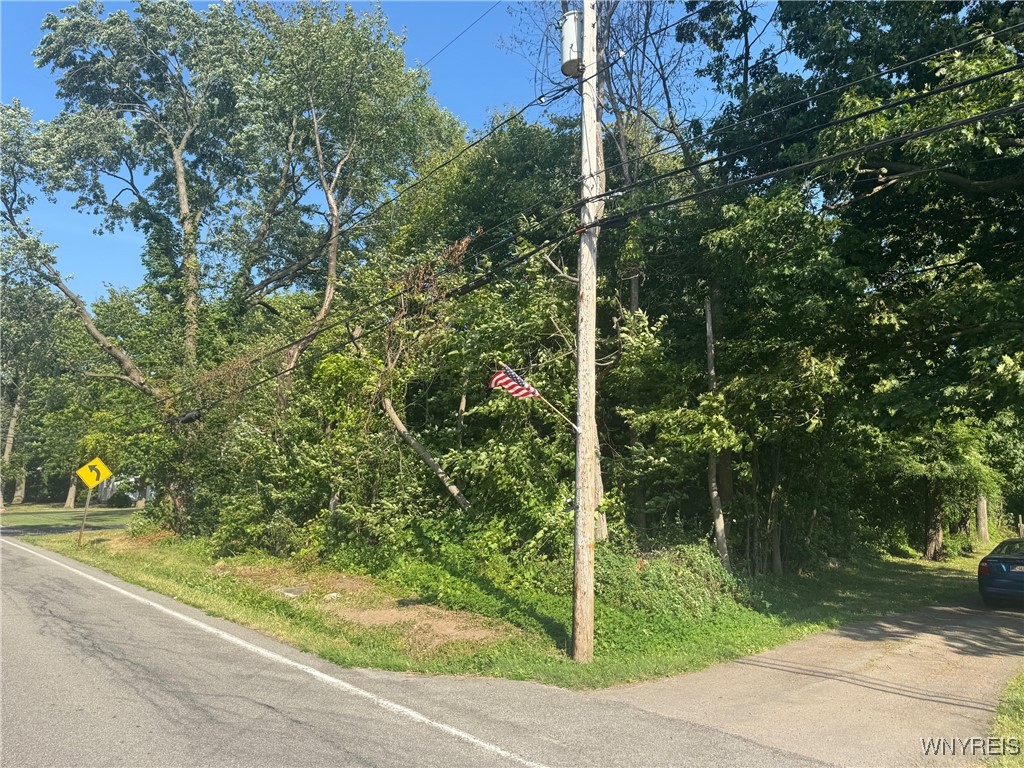 Laur Road Niagara Falls, NY 14304 - Photo 4 of 6