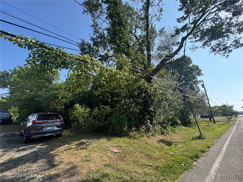 Laur Road Niagara Falls, NY 14304 - Photo 5 of 6