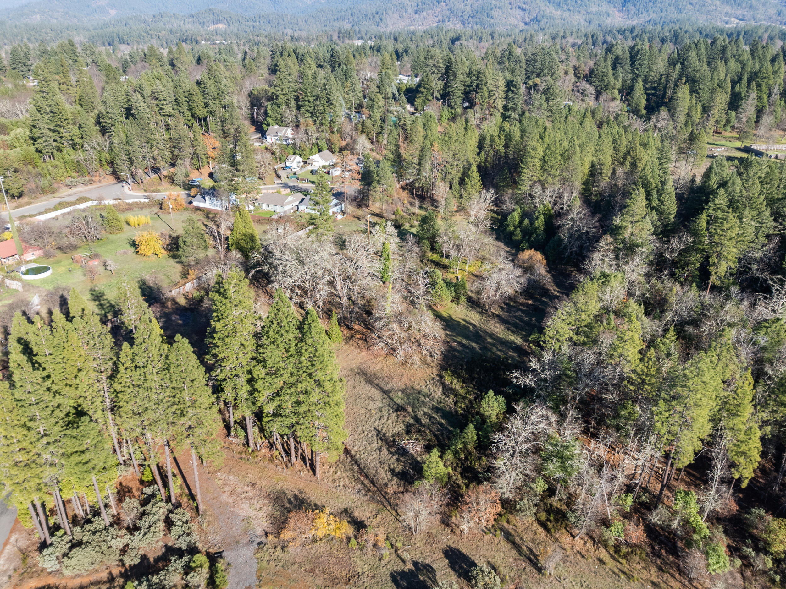 681 Daisy Hill Road Cave Junction, OR 97523 - Photo 15 of 26 a view of a forest with a yard and trees