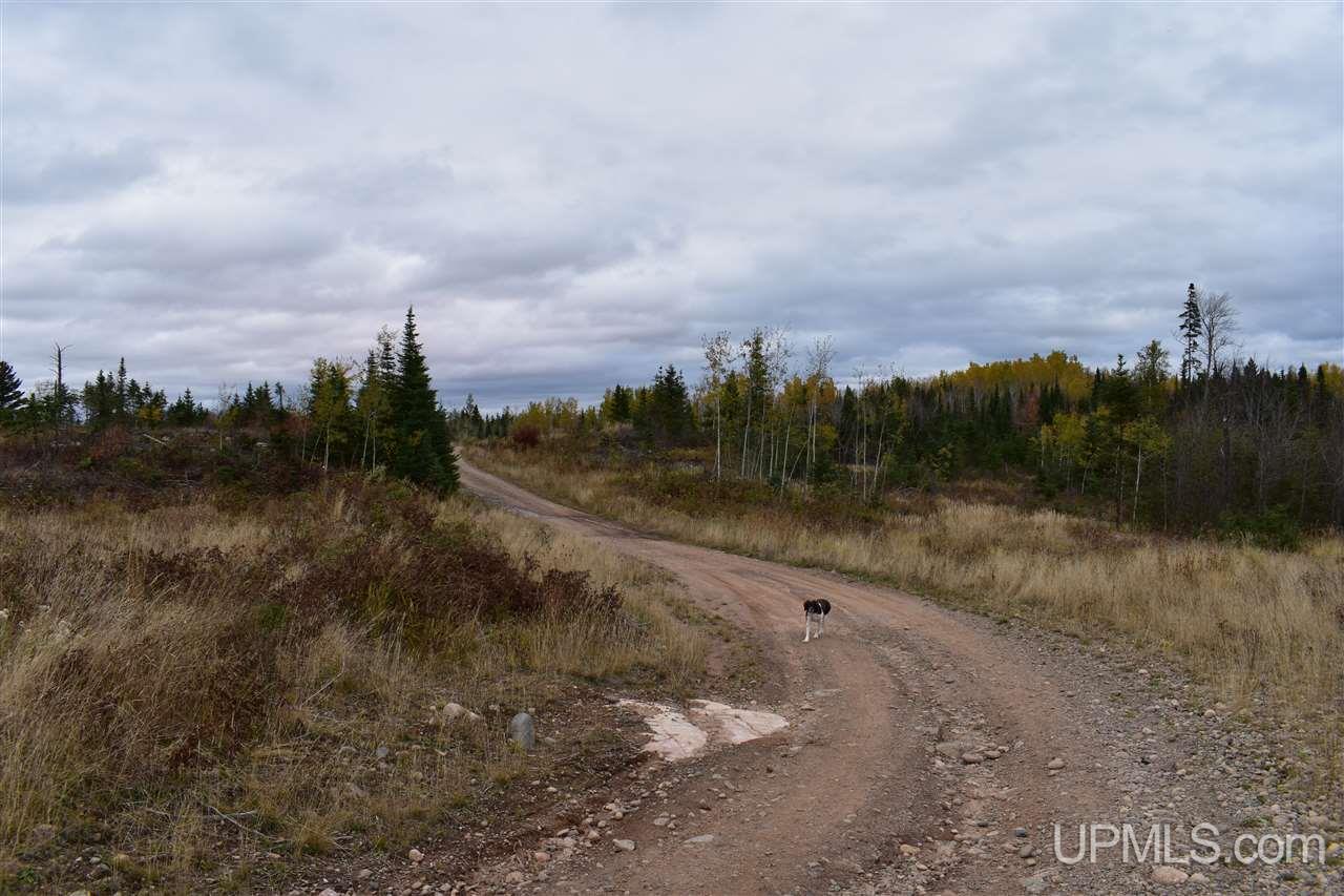 40-acres 40-acres Off Co Road Gwinn, MI 49841 - Photo 20 of 22