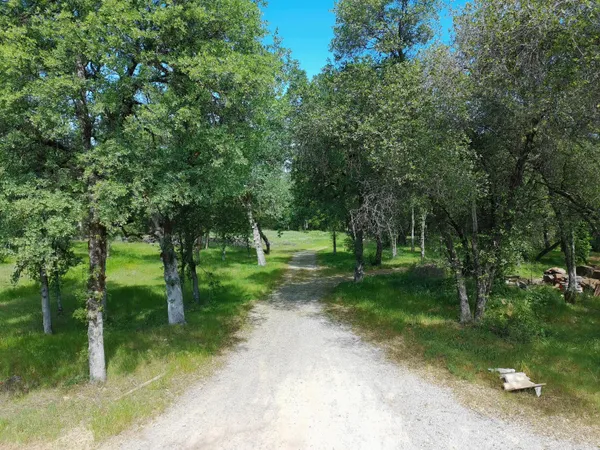 a view of outdoor space with trees all around