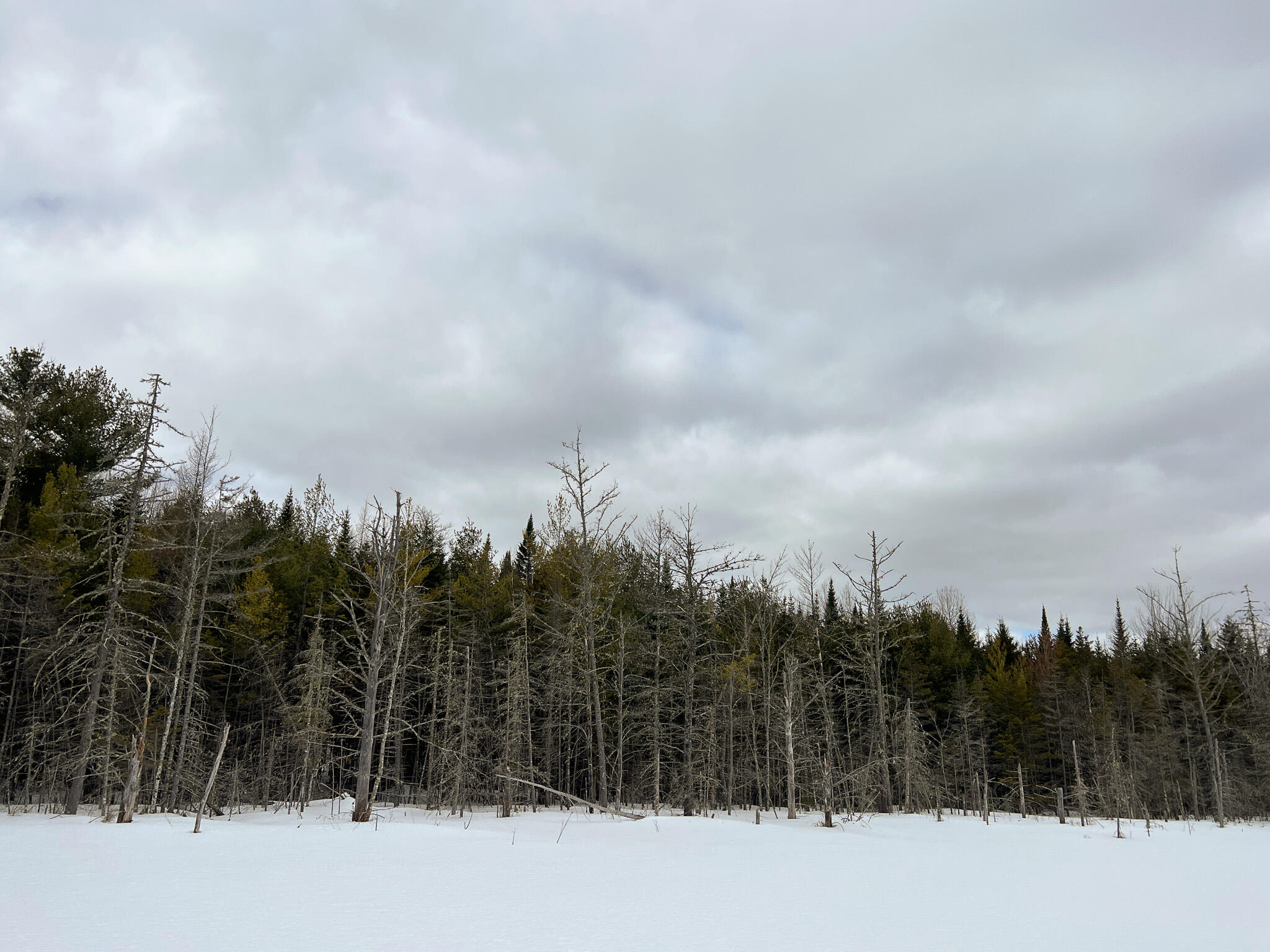 M2-l27-20 Smith Road Brownville, ME 04414 - Photo 16 of 27 IMG_4040
