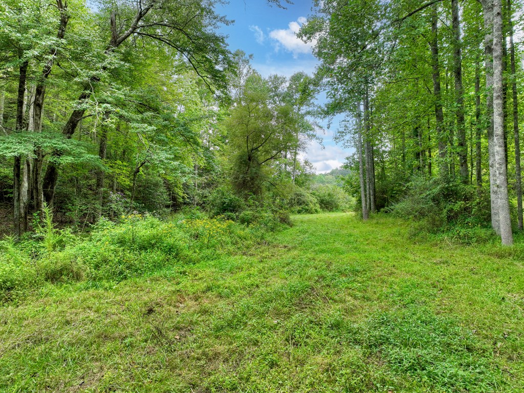 34.51-ac Weaver Creek Road Blue Ridge, GA 30513 - Photo 11 of 26 Gallery Image 11