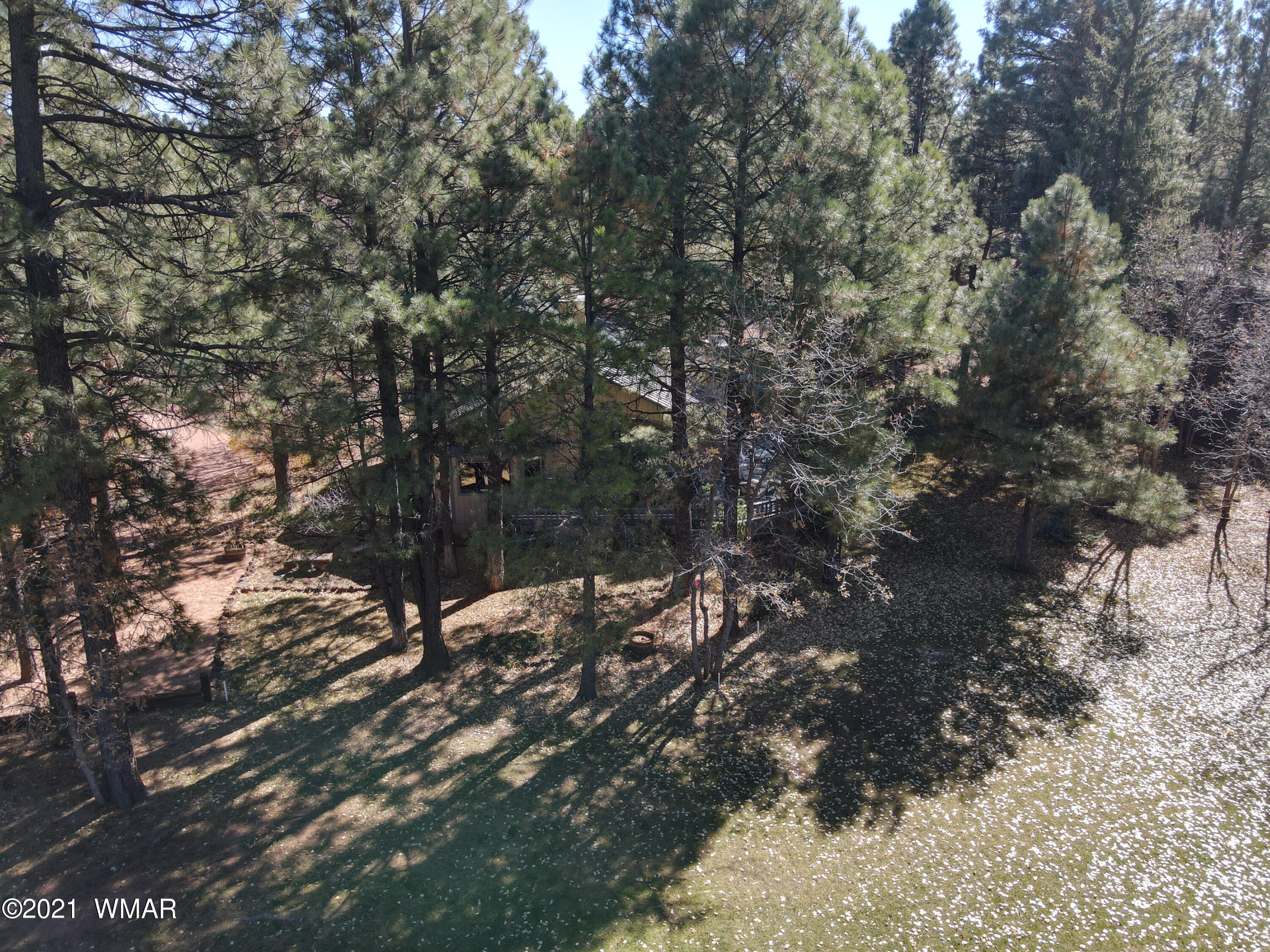 3328 Soaring Eagle Way Pinetop, AZ 85935 - Photo 31 of 31