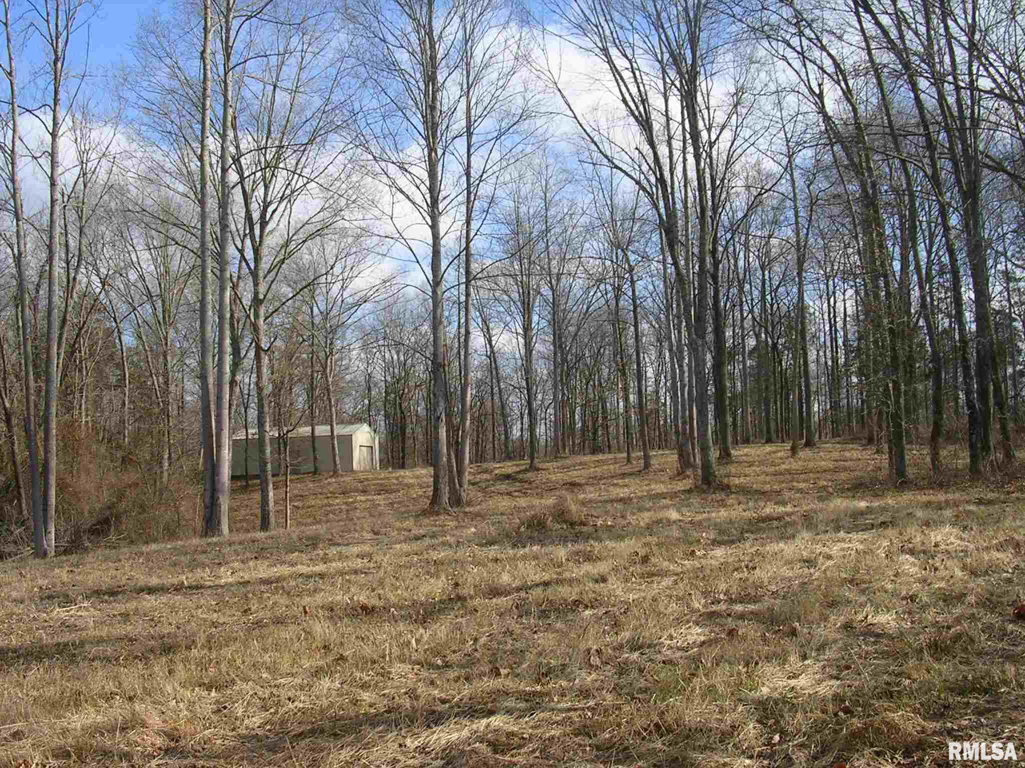 Pleasant Ridge Road Vienna, IL 62995 - Photo 6 of 27