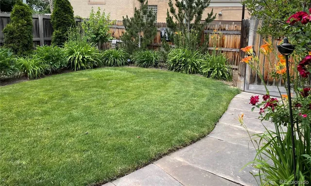 a view of a back yard of the house