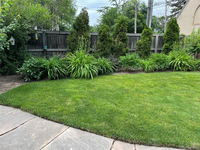 a view of a backyard with potted plants and large tree