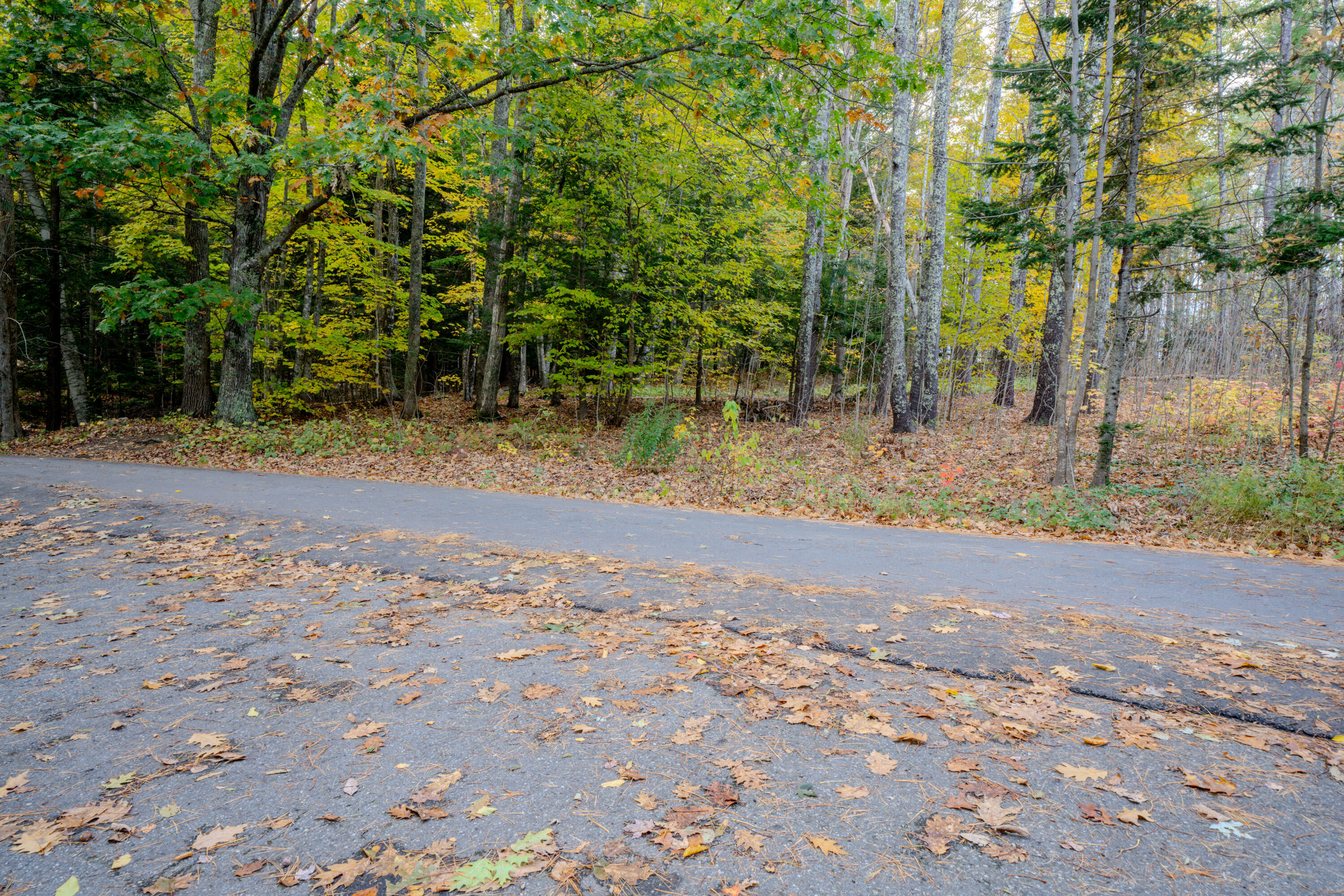 43 Norton Pond Road Lincolnville, ME 04849 - Photo 13 of 37 2829