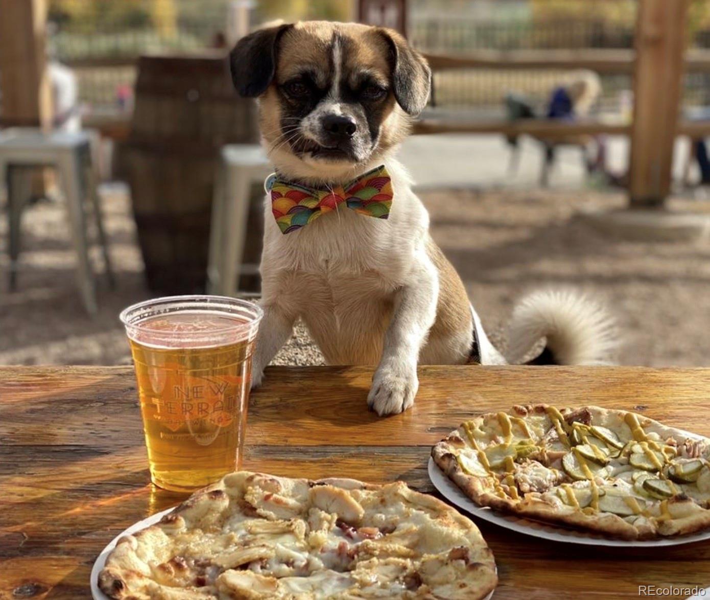 13780 Crabapple Road Golden, CO 80401 - Photo 32 of 39