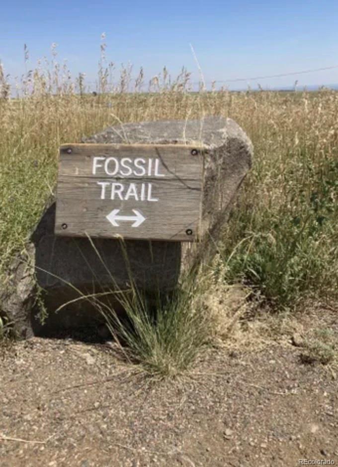 13780 Crabapple Road Golden, CO 80401 - Photo 38 of 39 a view of a terrace