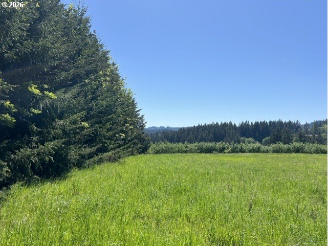 32784 Southwest Laurelview Road Hillsboro, OR 97123 - Photo 28 of 43