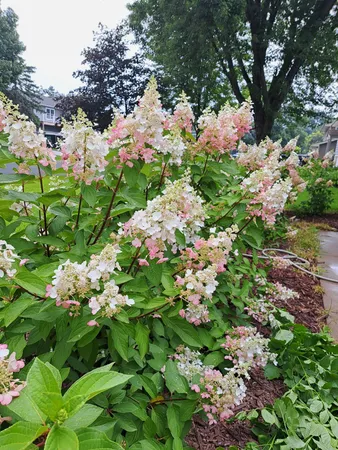 $349,900 | 14790 Camero Lane, Rosemount, MN 55068