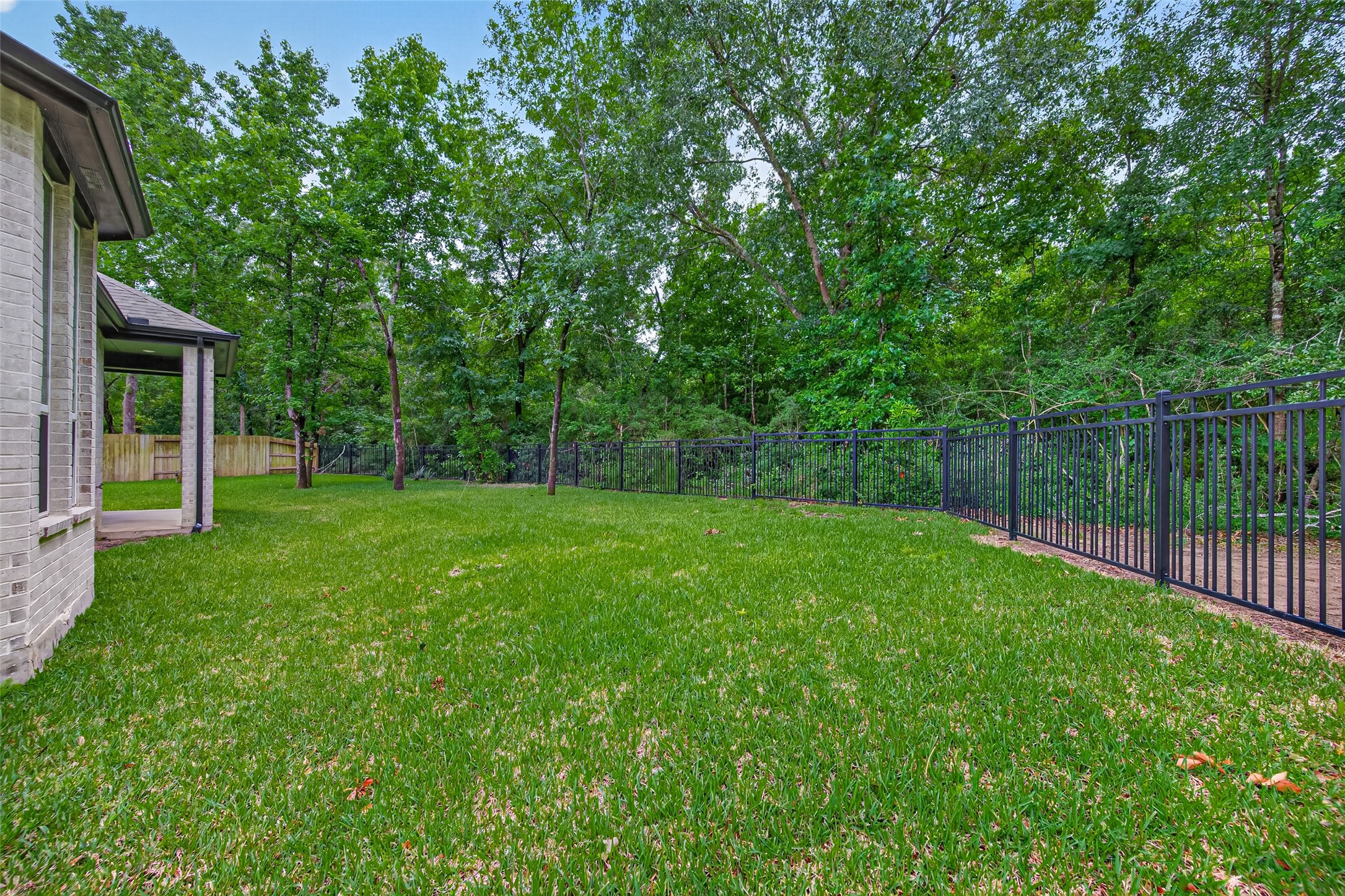 212 Milas Cove Montgomery, TX 77316 - Photo 49 of 50