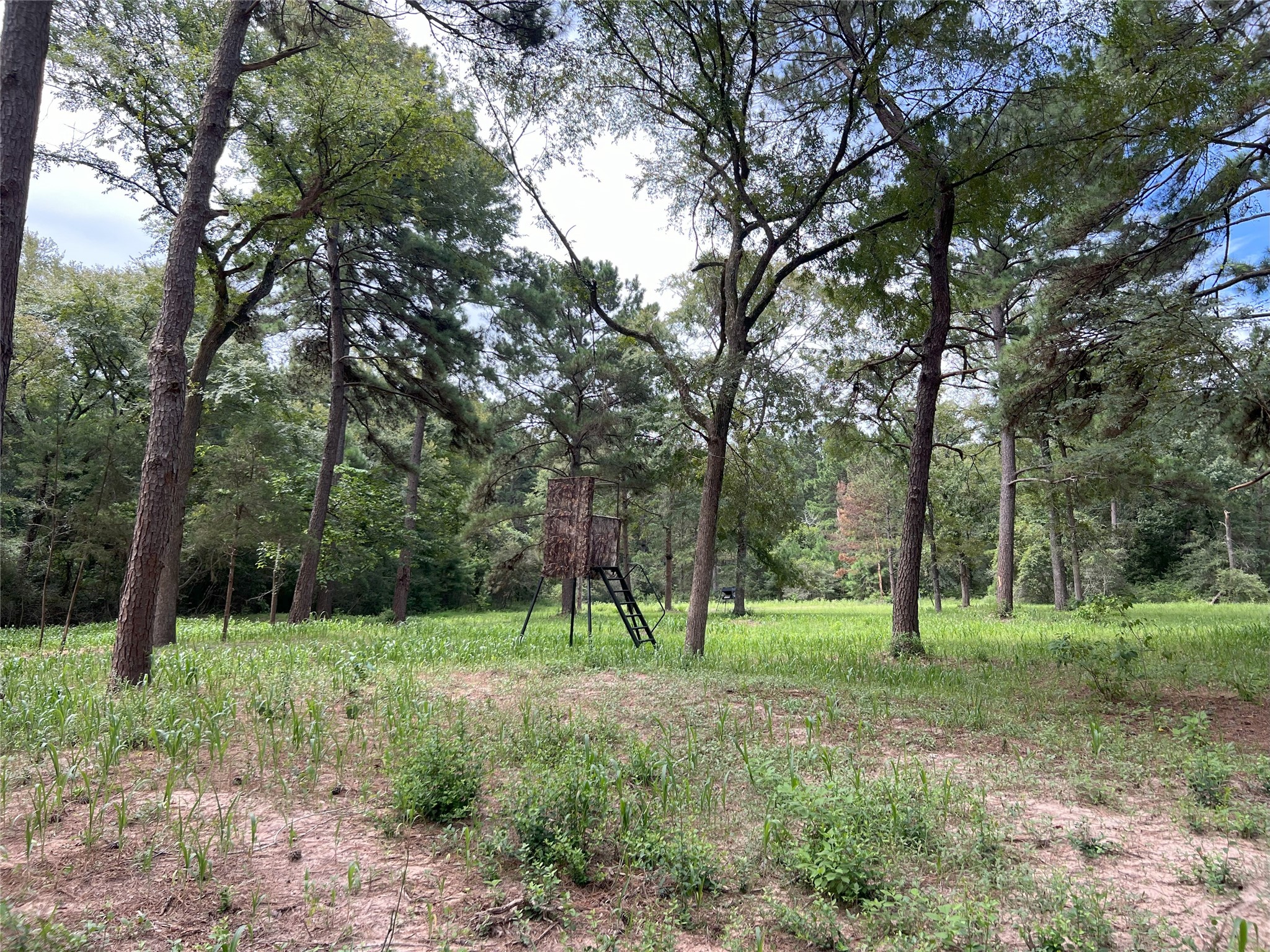 362-2 Rd Waller Tx 77484 Road Waller, TX 77484 - Photo 15 of 21 a view of outdoor space with deck and yard