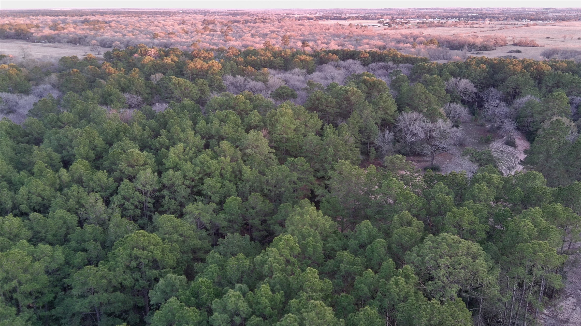 362-2 Rd Waller Tx 77484 Road Waller, TX 77484 - Photo 20 of 21 an aerial view of a golf course with green space and fog