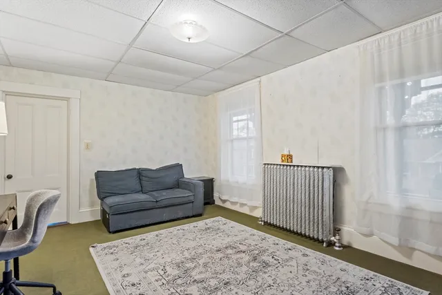a living room with furniture and a rug