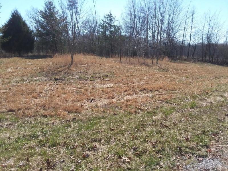 306 Brewer Road Pikeville, TN 37367 - Photo 4 of 23 20200309172621874065000000-o