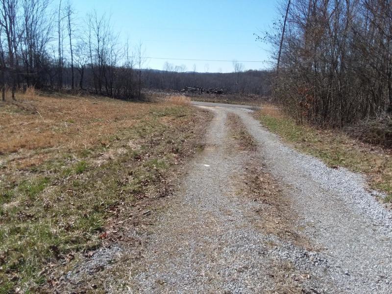 306 Brewer Road Pikeville, TN 37367 - Photo 5 of 23 20200309172658775606000000-o