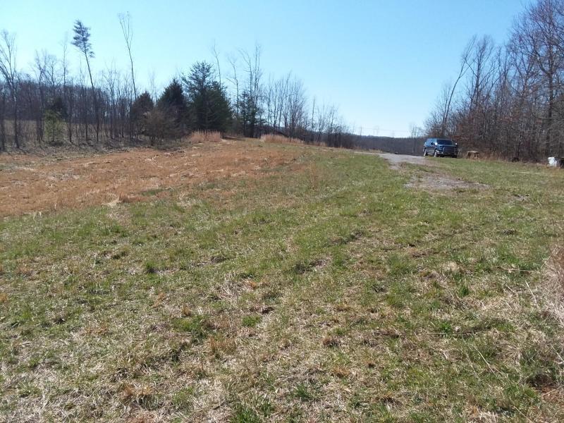306 Brewer Road Pikeville, TN 37367 - Photo 9 of 23 20200309173014683715000000-o