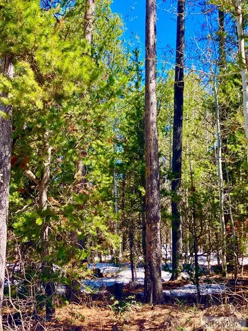 $125,000 | Tbd Tbd Hannah's Crossing, Ashton, ID 83420