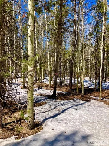 $125,000 | Tbd Tbd Hannah's Crossing, Ashton, ID 83420