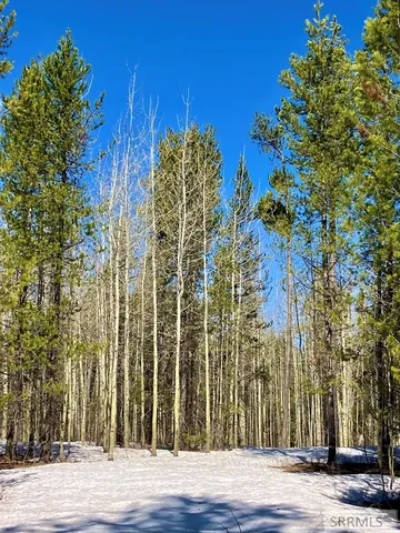 $125,000 | Tbd Tbd Hannah's Crossing, Ashton, ID 83420