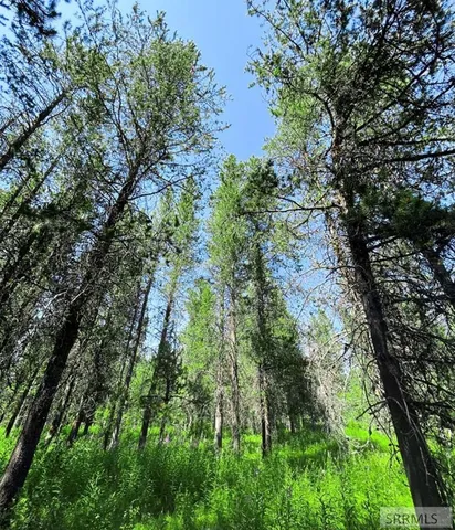 $125,000 | Tbd Tbd Hannah's Crossing, Ashton, ID 83420