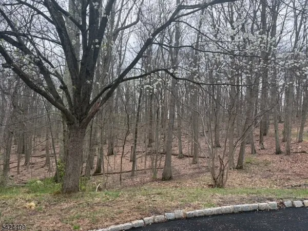 $250,000 | 14 Cathy Lane, Flanders, NJ 07836