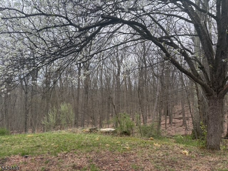 14 Cathy Lane Flanders, NJ 07836 - Photo 2 of 9