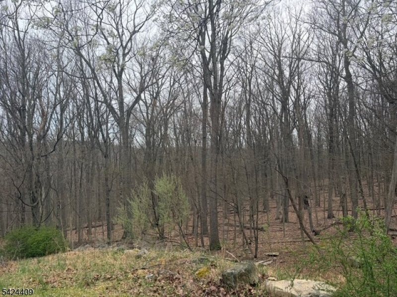 14 Cathy Lane Flanders, NJ 07836 - Photo 3 of 9