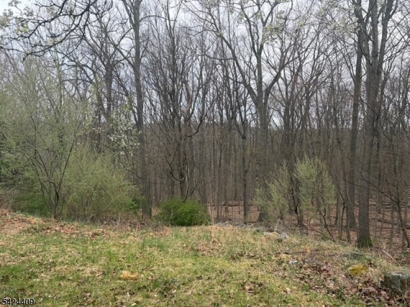 14 Cathy Lane Flanders, NJ 07836 - Photo 4 of 9