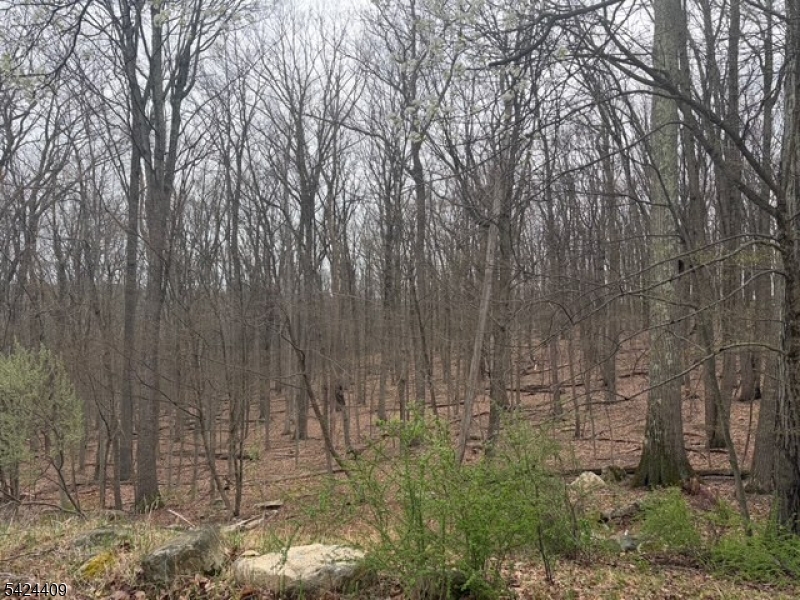 14 Cathy Lane Flanders, NJ 07836 - Photo 7 of 9