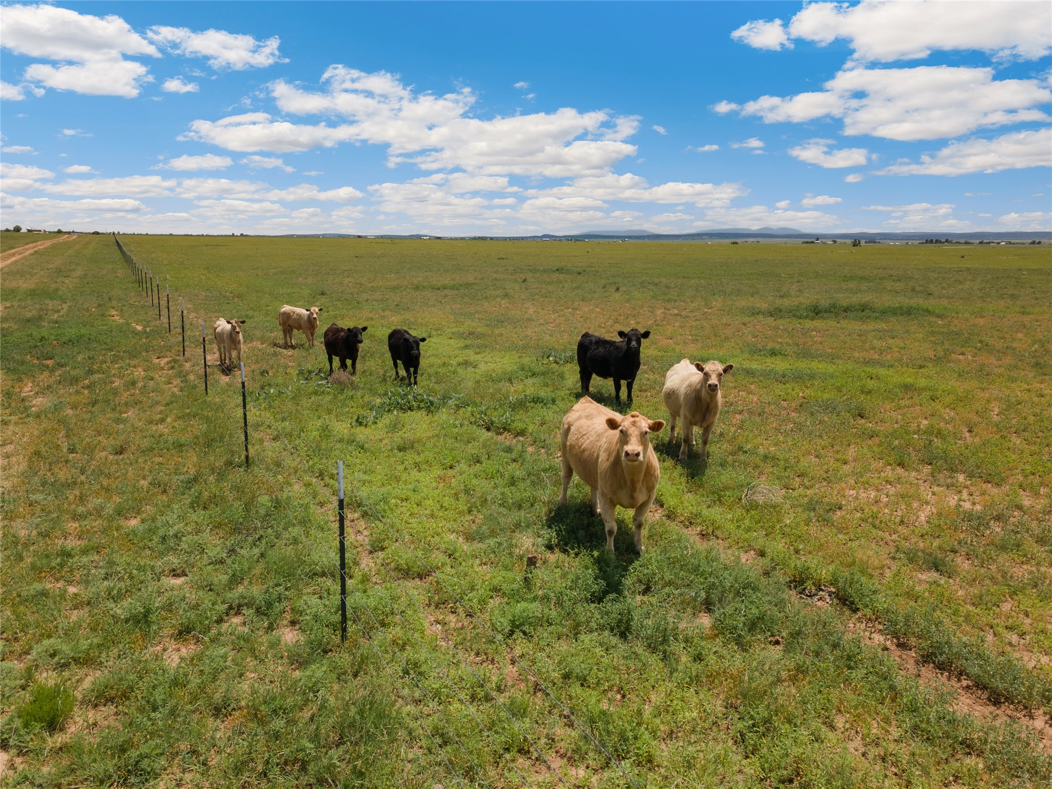 1021 Dinkle Road Moriarty, NM 87035 - Photo 2 of 27 Gallery Image 2