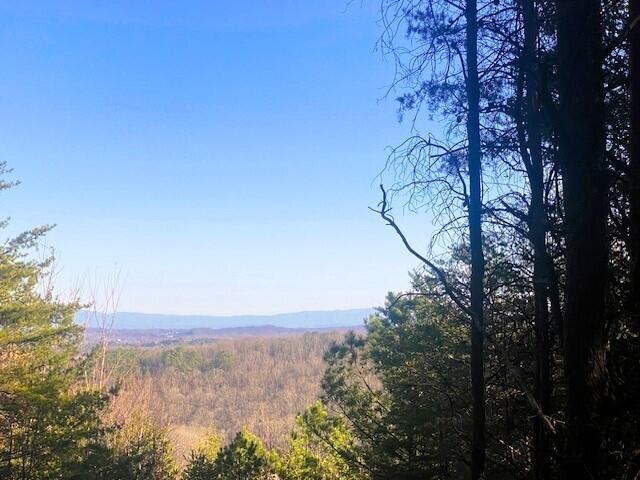 4 Owl Hollow Road McDonald, TN 37353 - Photo 12 of 20
