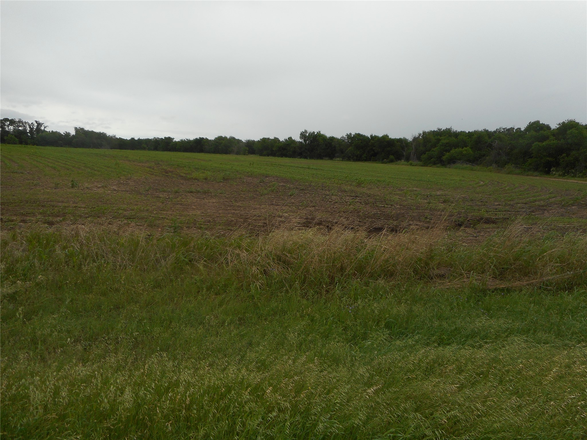 619 North Rd Taylor Tx 76574 Road Taylor, TX 76574 - Photo 1 of 15 This property features expansive green fields with a treeline bordering the horizon