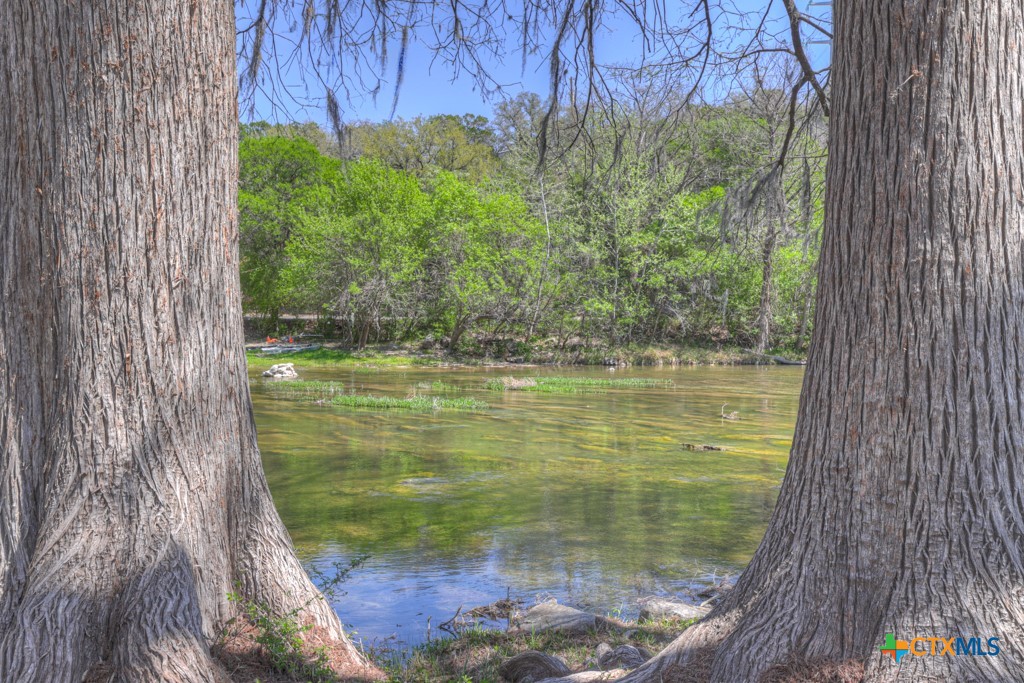 1262 Elm Creek Road New Braunfels, TX 78132 - Photo 47 of 48