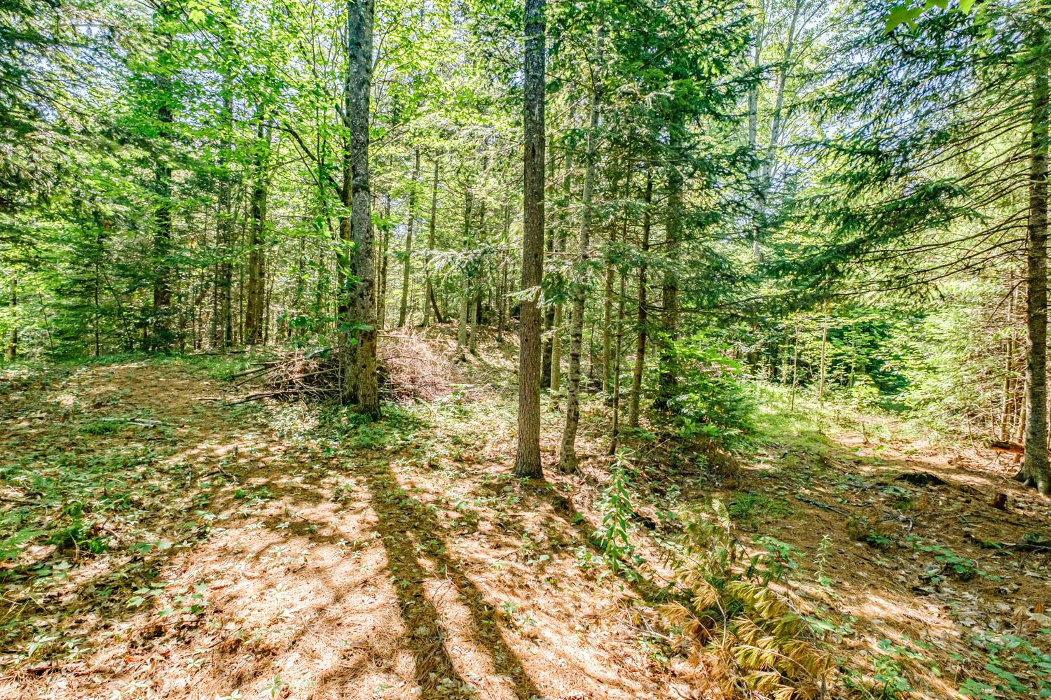 316 Bill Luce Road Washington, ME 04574 - Photo 56 of 62 20200709gp-62066