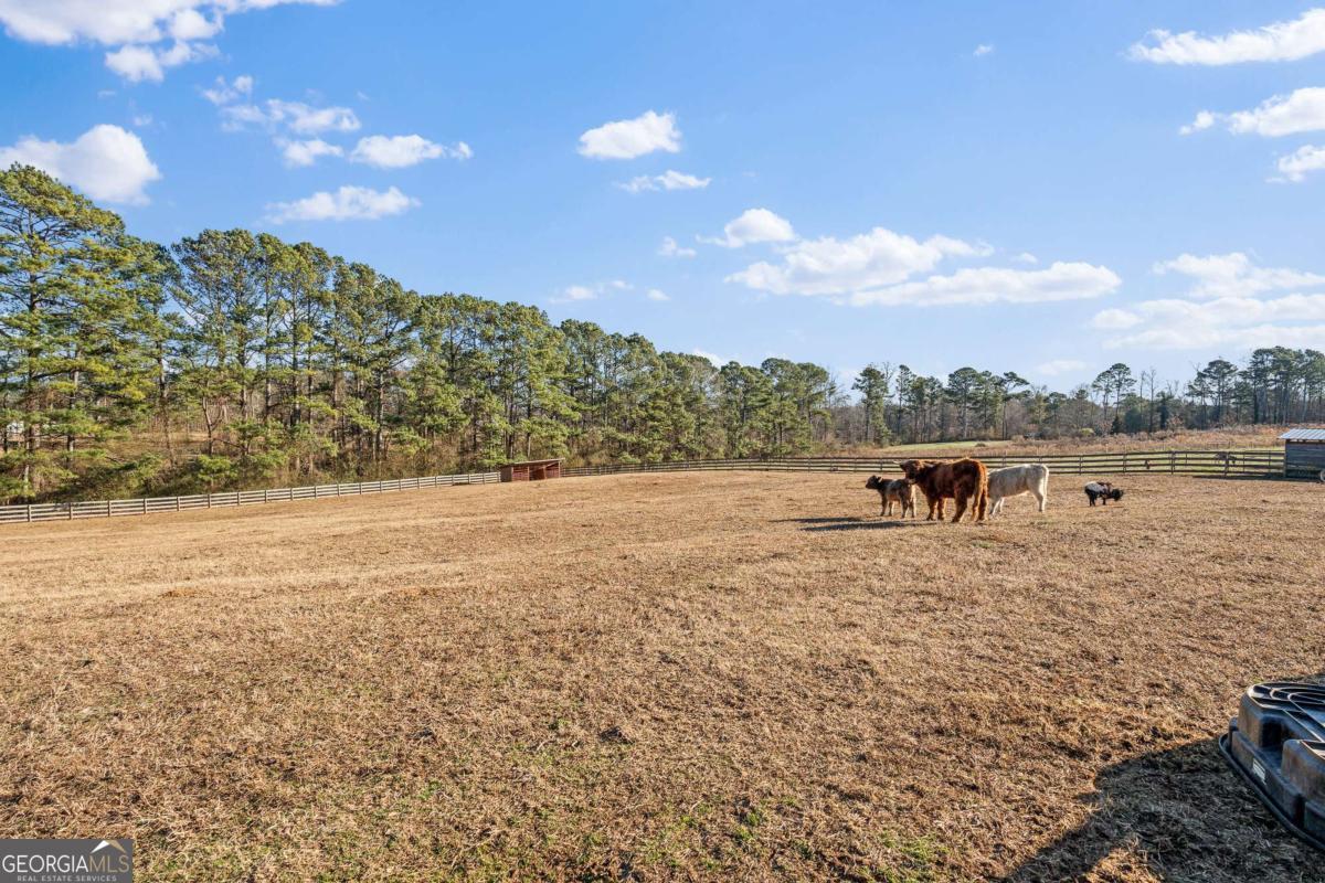1515 Pleasant Ridge Road Carrollton, GA 30117 - Photo 64 of 72 a view of ocean view with beach