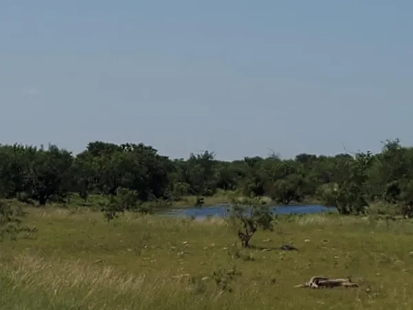 a view of a lake with trees in the background