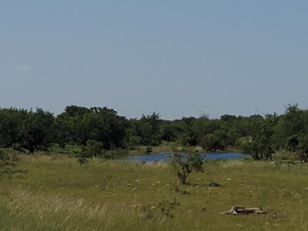 a view of a lake with trees in the background