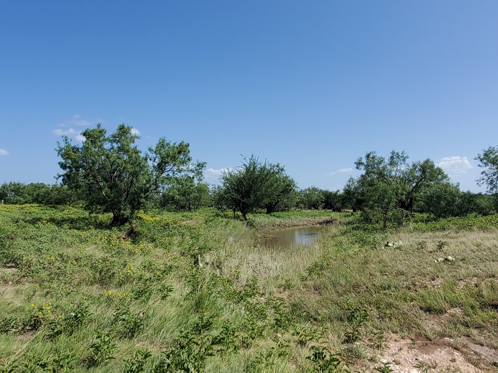 41 Hackberry Street, Unit 41 Fort McKavett, TX 76841 - Photo 3 of 9 a view of a lake with houses in back