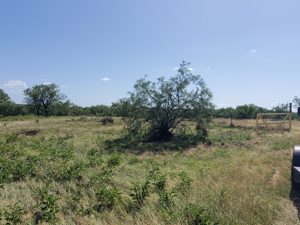 41 Hackberry Street, Unit 41 Fort McKavett, TX 76841 - Photo 5 of 9 a view of a lake with houses in the back